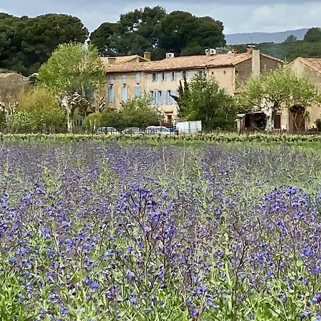 Bed & Breakfast Le Relais D'affiac