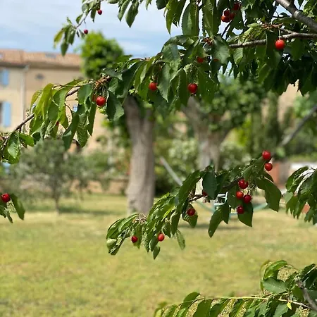 Le Relais D'affiac Bed & Breakfast *