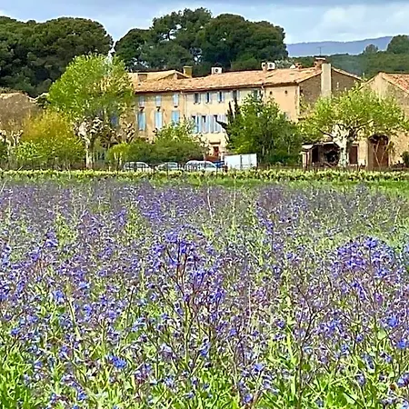 Le Relais D'affiac Bed & Breakfast